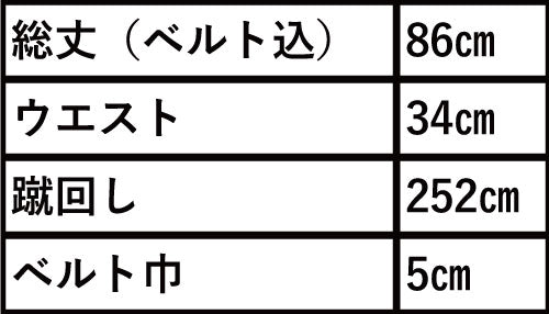 TVアニメ『魔法騎士レイアース』第2弾 ロングスカート