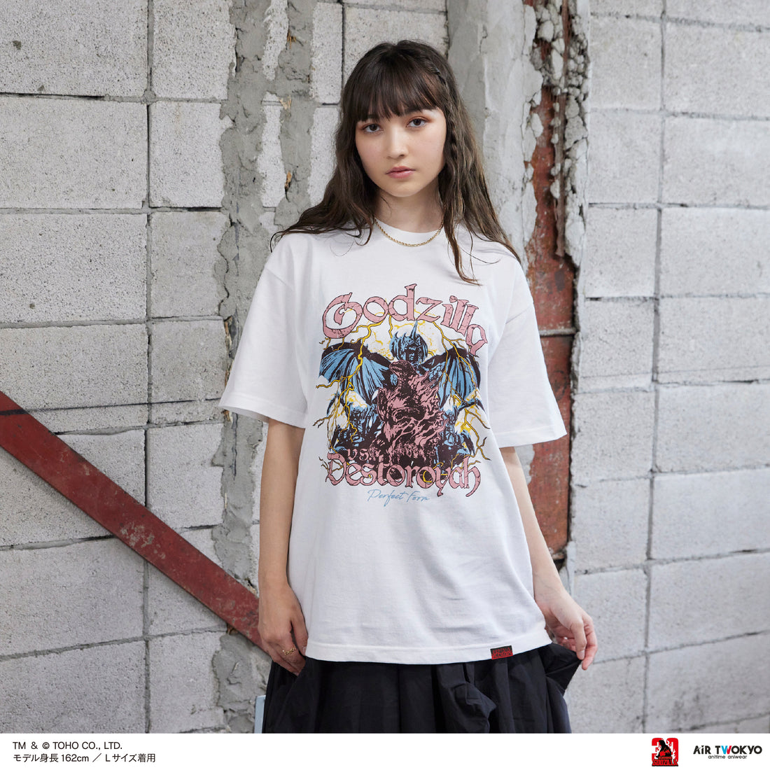 『ゴジラVSデストロイア』30周年 シーンイラストTシャツ 6（ゴジラ＆デストロイア）